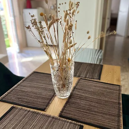 Daire Ultimo Piano Con Parcheggio Trieste